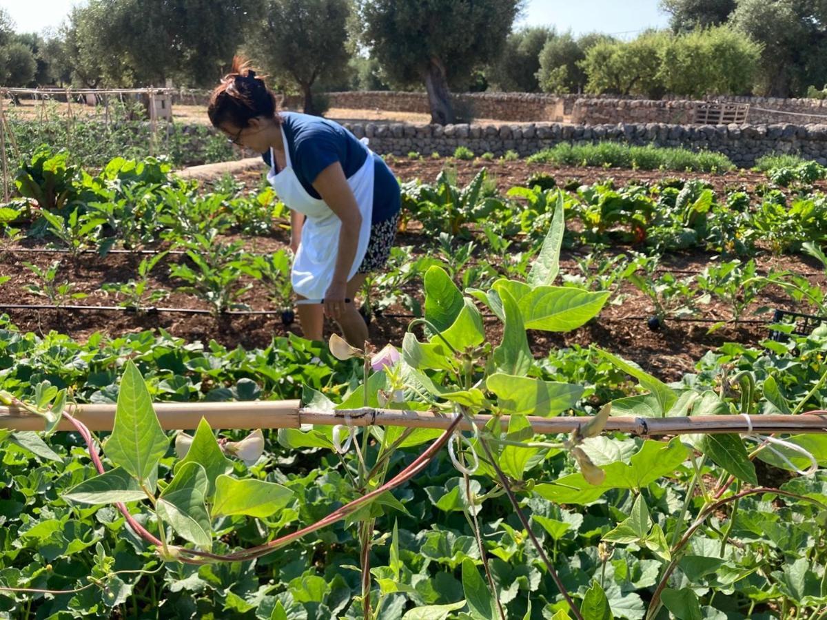 Boutique Hotel Masseria Sottomasi Savelletri Exteriör bild