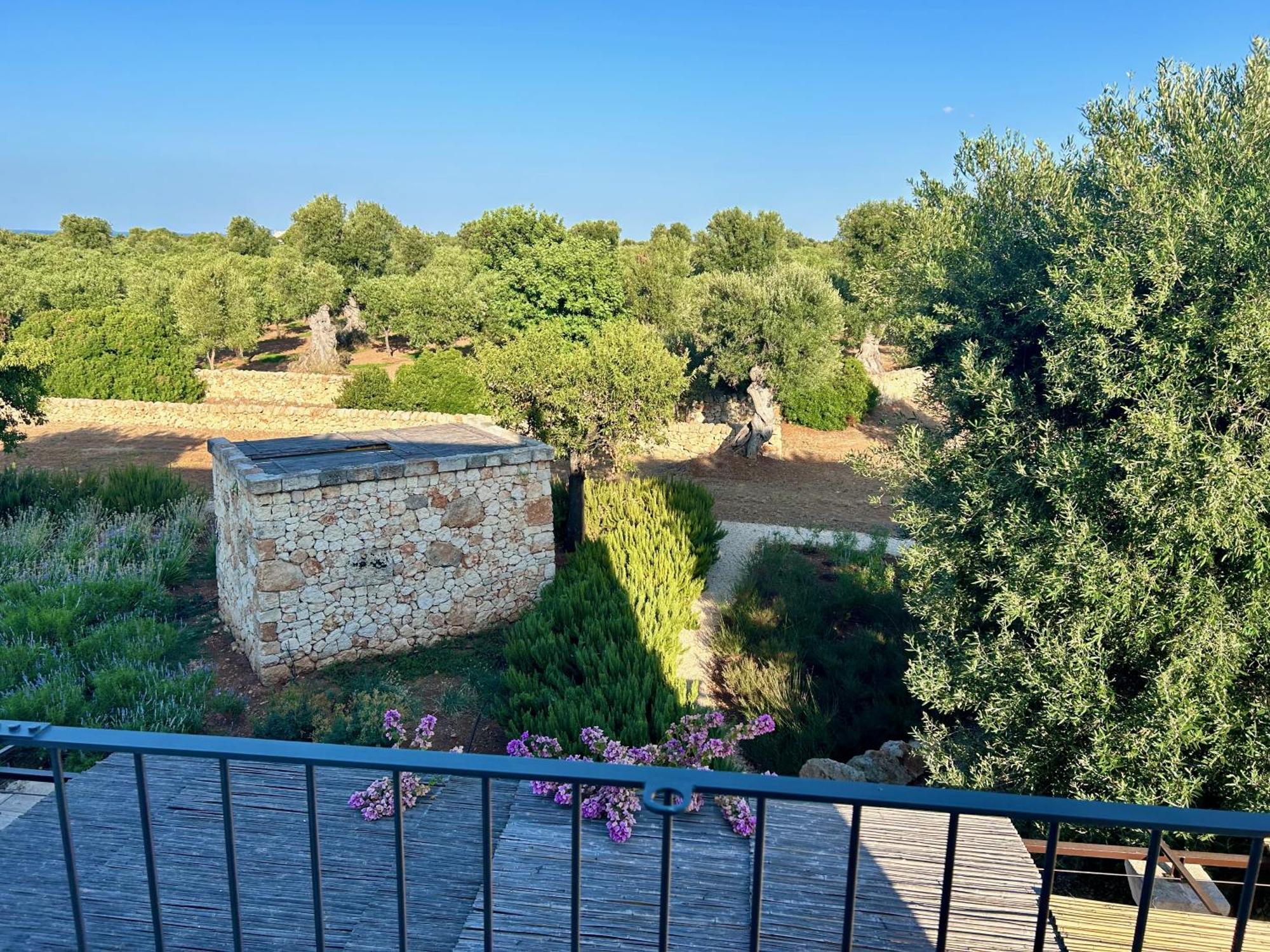 Boutique Hotel Masseria Sottomasi Savelletri Exteriör bild