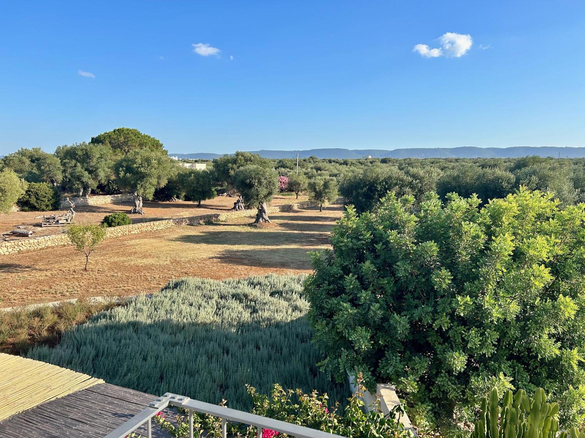 Boutique Hotel Masseria Sottomasi Savelletri Exteriör bild