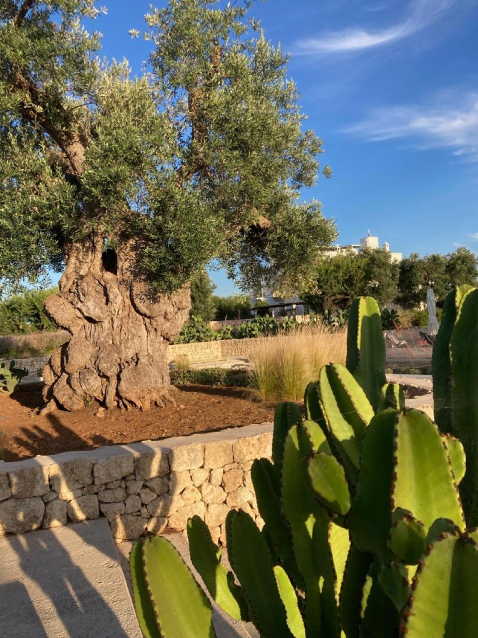 Boutique Hotel Masseria Sottomasi Savelletri Exteriör bild