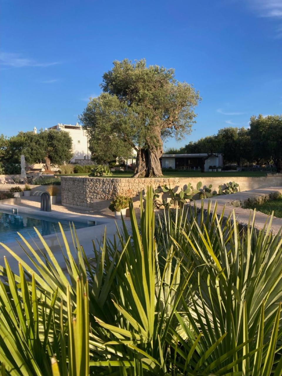 Boutique Hotel Masseria Sottomasi Savelletri Exteriör bild
