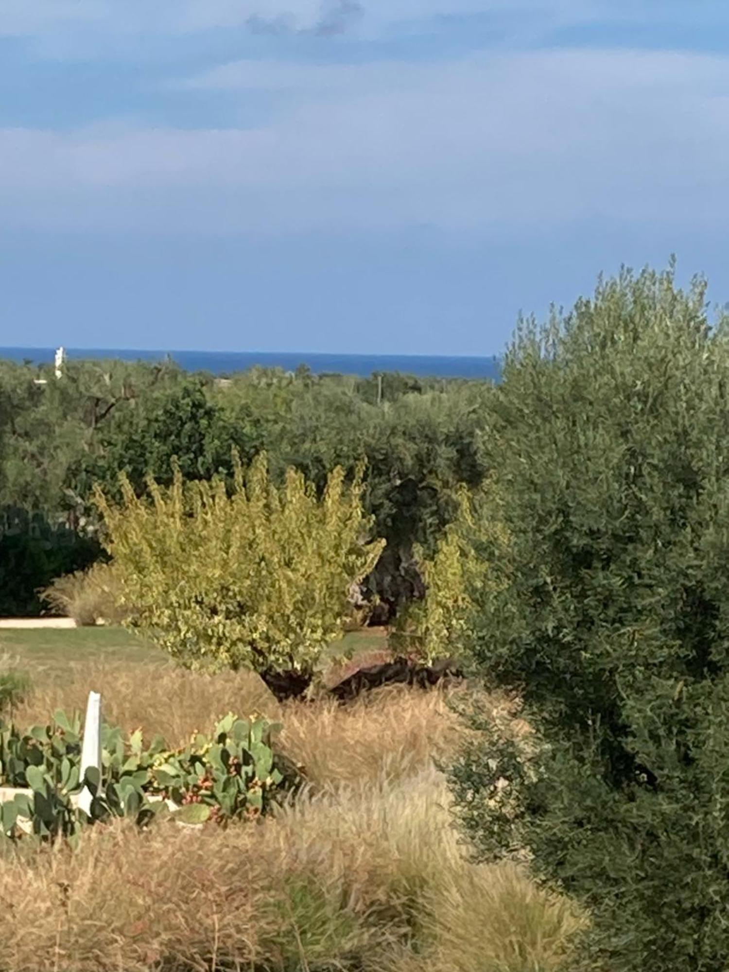 Boutique Hotel Masseria Sottomasi Savelletri Exteriör bild